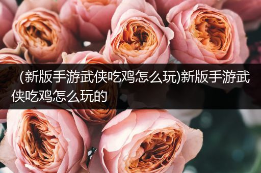 （新版手游武侠吃鸡怎么玩)新版手游武侠吃鸡怎么玩的