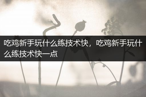 吃鸡新手玩什么练技术快，吃鸡新手玩什么练技术快一点