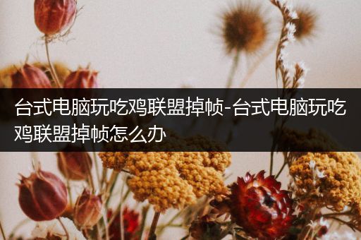 台式电脑玩吃鸡联盟掉帧-台式电脑玩吃鸡联盟掉帧怎么办