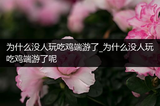 为什么没人玩吃鸡端游了_为什么没人玩吃鸡端游了呢