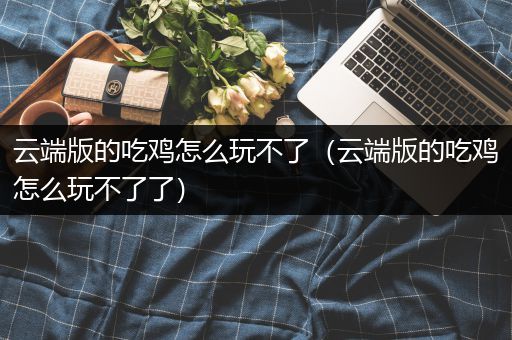 云端版的吃鸡怎么玩不了（云端版的吃鸡怎么玩不了了）