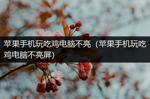 苹果手机玩吃鸡电脑不亮（苹果手机玩吃鸡电脑不亮屏）