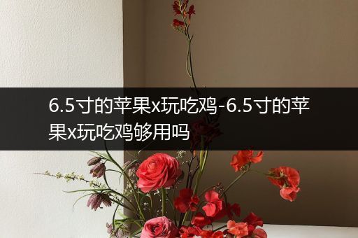6.5寸的苹果x玩吃鸡-6.5寸的苹果x玩吃鸡够用吗