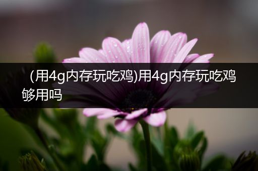 （用4g内存玩吃鸡)用4g内存玩吃鸡够用吗