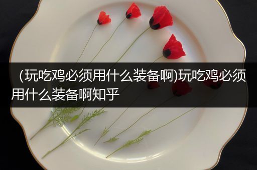 （玩吃鸡必须用什么装备啊)玩吃鸡必须用什么装备啊知乎