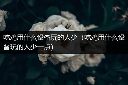 吃鸡用什么设备玩的人少（吃鸡用什么设备玩的人少一点）