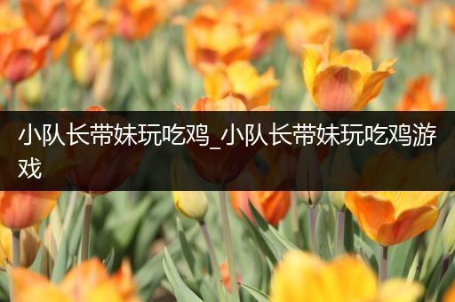 小队长带妹玩吃鸡_小队长带妹玩吃鸡游戏