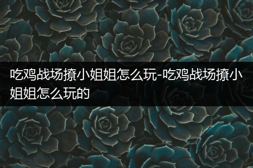 吃鸡战场撩小姐姐怎么玩-吃鸡战场撩小姐姐怎么玩的