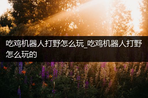 吃鸡机器人打野怎么玩_吃鸡机器人打野怎么玩的