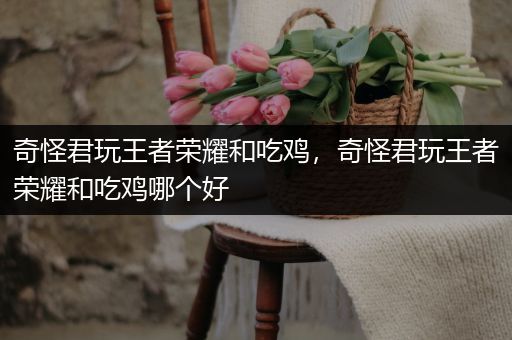 奇怪君玩王者荣耀和吃鸡，奇怪君玩王者荣耀和吃鸡哪个好