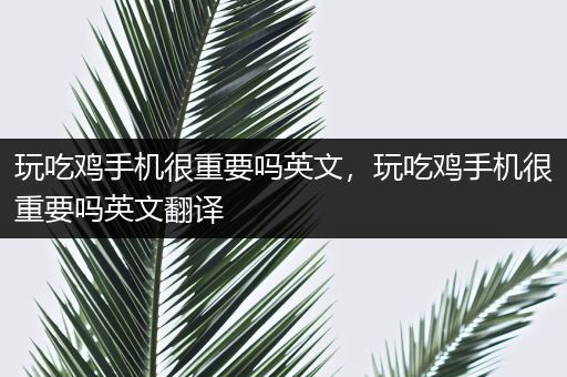 玩吃鸡手机很重要吗英文，玩吃鸡手机很重要吗英文翻译