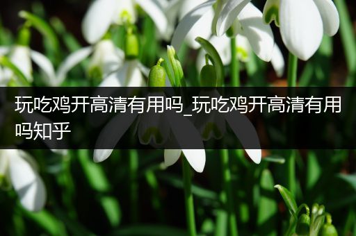 玩吃鸡开高清有用吗_玩吃鸡开高清有用吗知乎