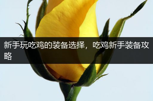 新手玩吃鸡的装备选择，吃鸡新手装备攻略