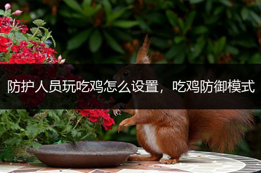 防护人员玩吃鸡怎么设置，吃鸡防御模式