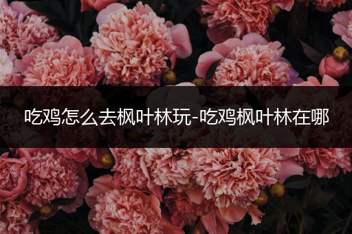 吃鸡怎么去枫叶林玩-吃鸡枫叶林在哪