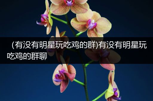 （有没有明星玩吃鸡的群)有没有明星玩吃鸡的群聊