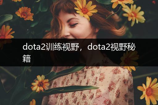 dota2训练视野，dota2视野秘籍