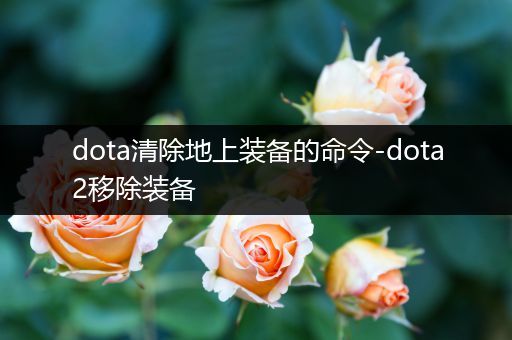 dota清除地上装备的命令-dota2移除装备