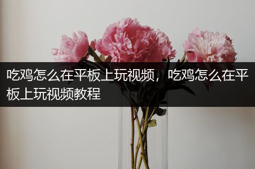 吃鸡怎么在平板上玩视频，吃鸡怎么在平板上玩视频教程