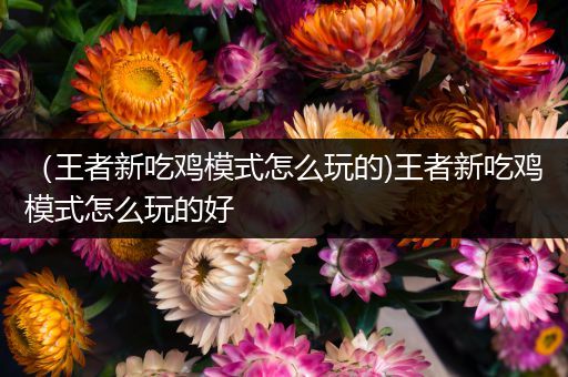 （王者新吃鸡模式怎么玩的)王者新吃鸡模式怎么玩的好
