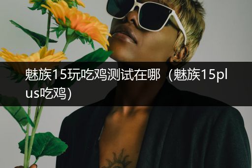 魅族15玩吃鸡测试在哪（魅族15plus吃鸡）