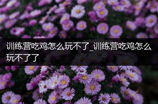 训练营吃鸡怎么玩不了_训练营吃鸡怎么玩不了了