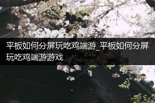 平板如何分屏玩吃鸡端游_平板如何分屏玩吃鸡端游游戏
