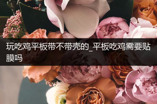 玩吃鸡平板带不带壳的_平板吃鸡需要贴膜吗