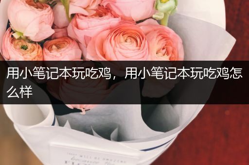 用小笔记本玩吃鸡，用小笔记本玩吃鸡怎么样