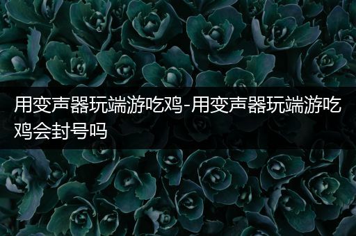 用变声器玩端游吃鸡-用变声器玩端游吃鸡会封号吗
