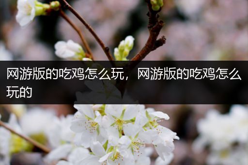 网游版的吃鸡怎么玩，网游版的吃鸡怎么玩的
