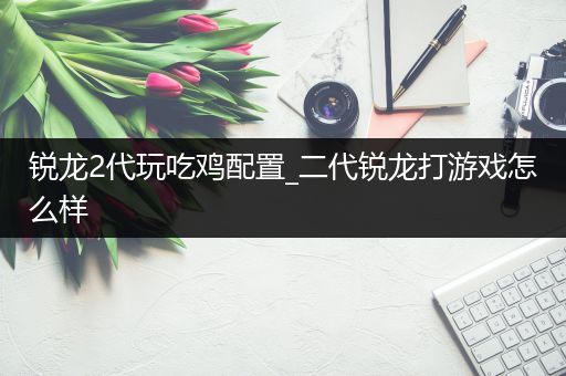 锐龙2代玩吃鸡配置_二代锐龙打游戏怎么样