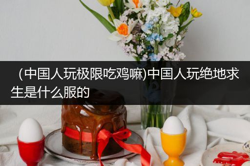 （中国人玩极限吃鸡嘛)中国人玩绝地求生是什么服的