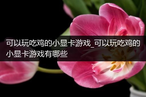 可以玩吃鸡的小显卡游戏_可以玩吃鸡的小显卡游戏有哪些