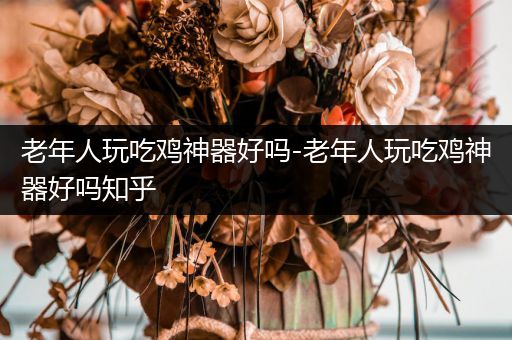 老年人玩吃鸡神器好吗-老年人玩吃鸡神器好吗知乎