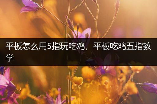 平板怎么用5指玩吃鸡，平板吃鸡五指教学