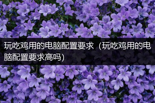 玩吃鸡用的电脑配置要求（玩吃鸡用的电脑配置要求高吗）