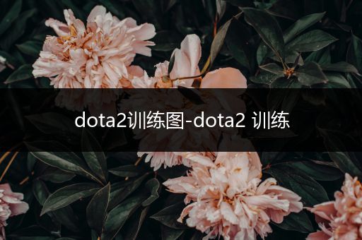 dota2训练图-dota2 训练