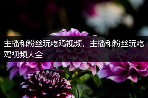 主播和粉丝玩吃鸡视频，主播和粉丝玩吃鸡视频大全