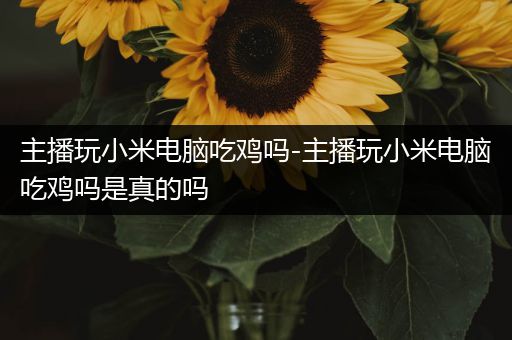 主播玩小米电脑吃鸡吗-主播玩小米电脑吃鸡吗是真的吗