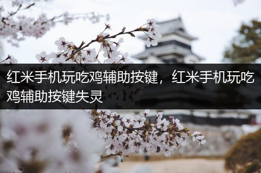 红米手机玩吃鸡辅助按键，红米手机玩吃鸡辅助按键失灵