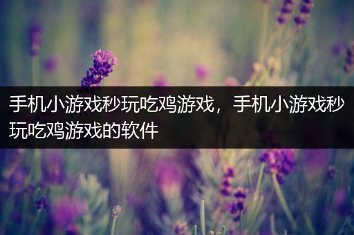 手机小游戏秒玩吃鸡游戏，手机小游戏秒玩吃鸡游戏的软件