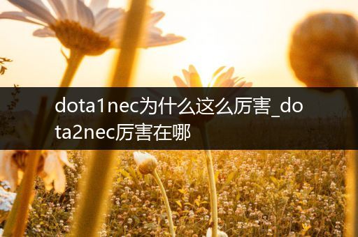 dota1nec为什么这么厉害_dota2nec厉害在哪