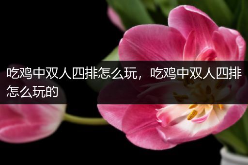 吃鸡中双人四排怎么玩，吃鸡中双人四排怎么玩的