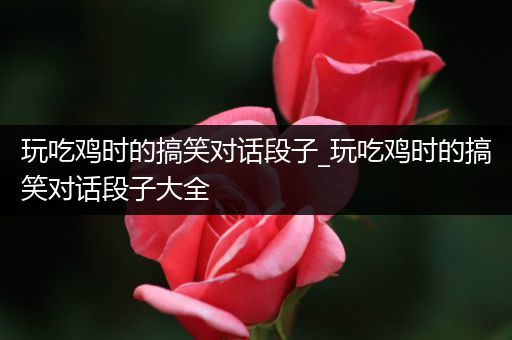 玩吃鸡时的搞笑对话段子_玩吃鸡时的搞笑对话段子大全