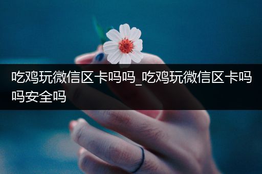 吃鸡玩微信区卡吗吗_吃鸡玩微信区卡吗吗安全吗