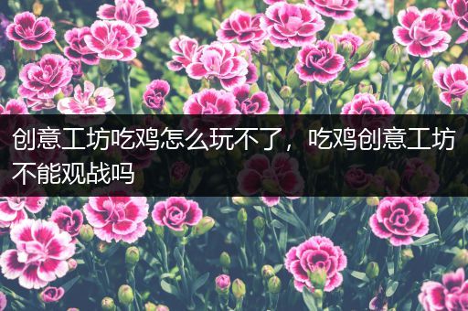 创意工坊吃鸡怎么玩不了，吃鸡创意工坊不能观战吗