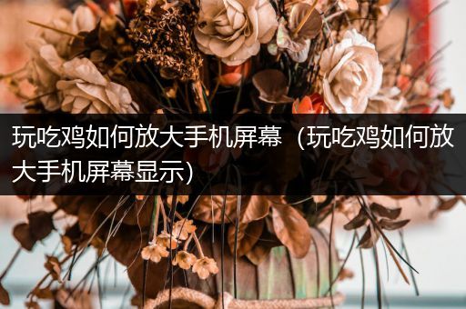 玩吃鸡如何放大手机屏幕（玩吃鸡如何放大手机屏幕显示）