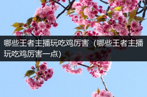 哪些王者主播玩吃鸡厉害（哪些王者主播玩吃鸡厉害一点）