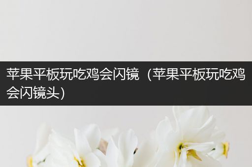 苹果平板玩吃鸡会闪镜（苹果平板玩吃鸡会闪镜头）
